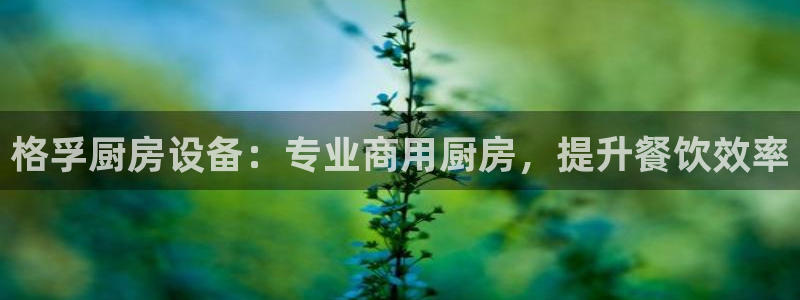 尊龙,人生就是博!登录国际：格孚厨房设备：专业商用厨房，提升