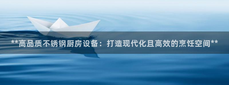 尊龙体育游戏平台：**高品质不锈钢厨房设备：打造现代化且高效