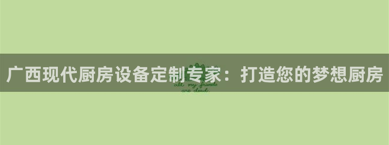 尊龙一人生就是搏：广西现代厨房设备定制专家：打造您的梦想厨房