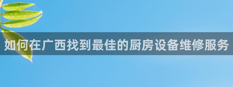 尊龙凯时网站不让提款：如何在广西找到最佳的厨房设备维修服务