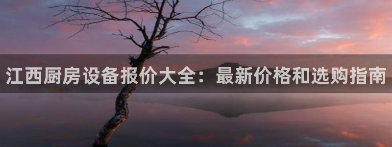 尊龙信息科技有限公司：江西厨房设备报价大全：最新价格和选购指